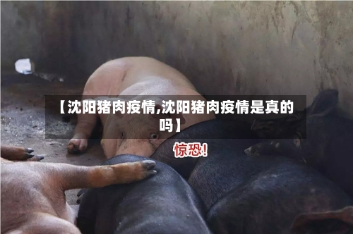 【沈阳猪肉疫情,沈阳猪肉疫情是真的吗】-第2张图片