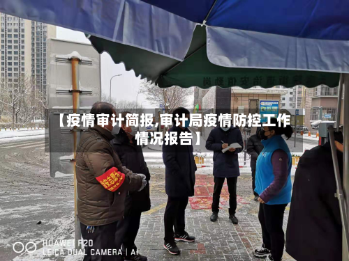 【疫情审计简报,审计局疫情防控工作情况报告】