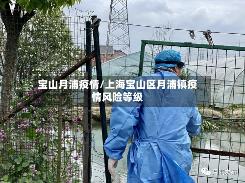 宝山月浦疫情/上海宝山区月浦镇疫情风险等级