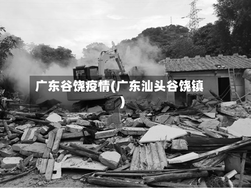 广东谷饶疫情(广东汕头谷饶镇)-第2张图片