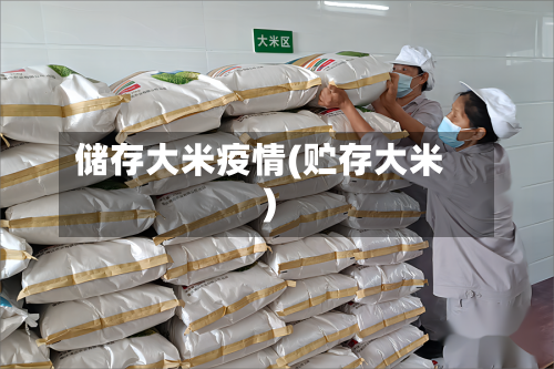 储存大米疫情(贮存大米)-第2张图片