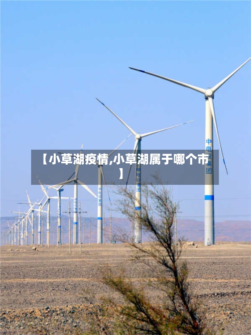 【小草湖疫情,小草湖属于哪个市】-第2张图片