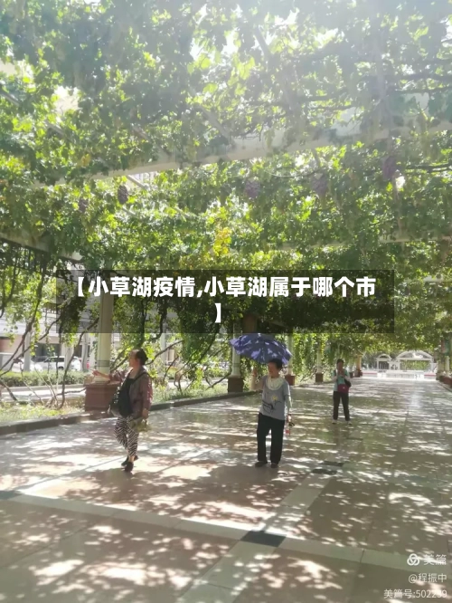 【小草湖疫情,小草湖属于哪个市】-第3张图片