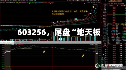 603256，尾盘“地天板”