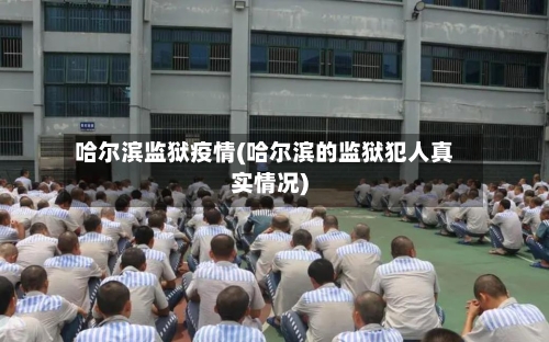 哈尔滨监狱疫情(哈尔滨的监狱犯人真实情况)