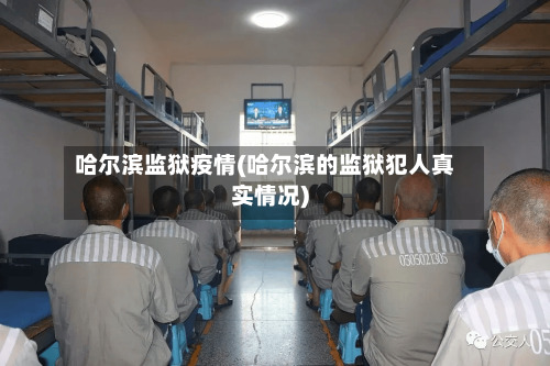 哈尔滨监狱疫情(哈尔滨的监狱犯人真实情况)-第2张图片
