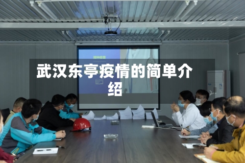武汉东亭疫情的简单介绍