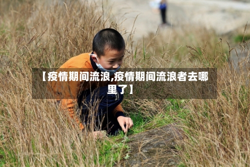 【疫情期间流浪,疫情期间流浪者去哪里了】