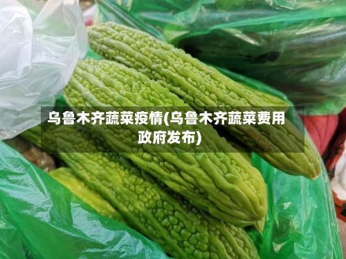 乌鲁木齐蔬菜疫情(乌鲁木齐蔬菜费用政府发布)