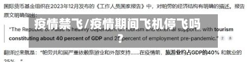疫情禁飞/疫情期间飞机停飞吗?