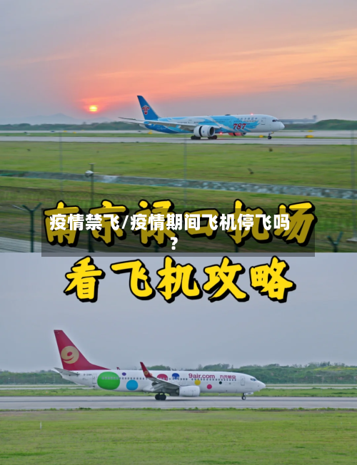 疫情禁飞/疫情期间飞机停飞吗?-第2张图片
