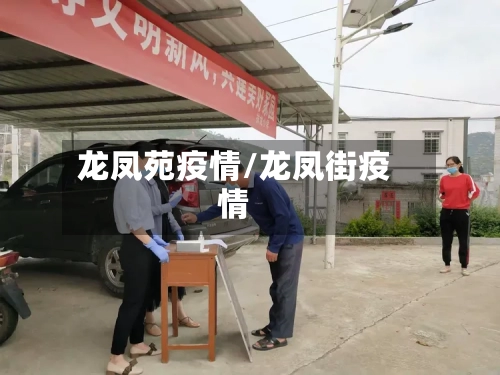 龙凤苑疫情/龙凤街疫情