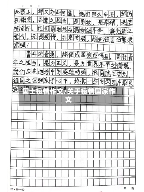 国士疫情作文/关于疫情国家作文-第2张图片