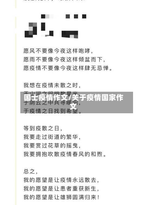 国士疫情作文/关于疫情国家作文-第3张图片