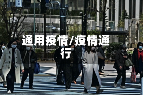 通用疫情/疫情通行-第2张图片