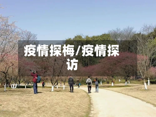 疫情探梅/疫情探访-第2张图片
