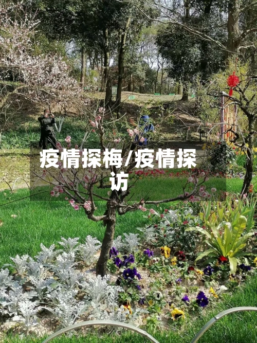 疫情探梅/疫情探访