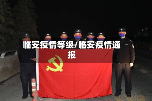 临安疫情等级/临安疫情通报-第3张图片