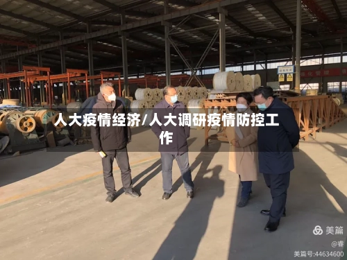人大疫情经济/人大调研疫情防控工作