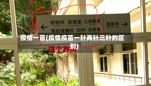疫情一苗(疫情疫苗一针两针三针的区别)-第3张图片