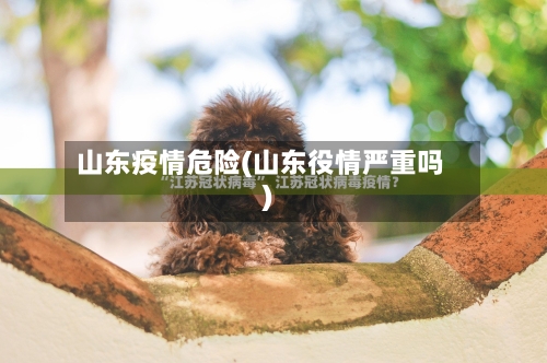 山东疫情危险(山东役情严重吗)