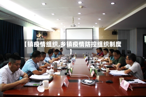 【镇疫情组织,乡镇疫情防控组织制度】