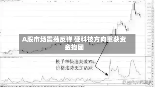 A股市场震荡反弹 硬科技方向重获资金抱团