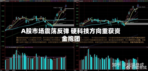 A股市场震荡反弹 硬科技方向重获资金抱团-第3张图片