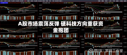 A股市场震荡反弹 硬科技方向重获资金抱团-第2张图片