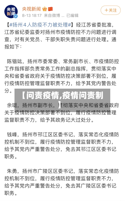 【问责疫情,疫情问责制】-第2张图片