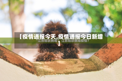 【疫情通报今天,疫情通报今日新增】