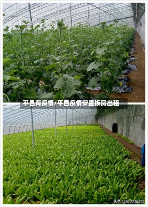 平邑有疫情/平邑疫情安置板房出租-第2张图片