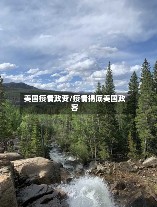 美国疫情政变/疫情揭底美国政客-第2张图片