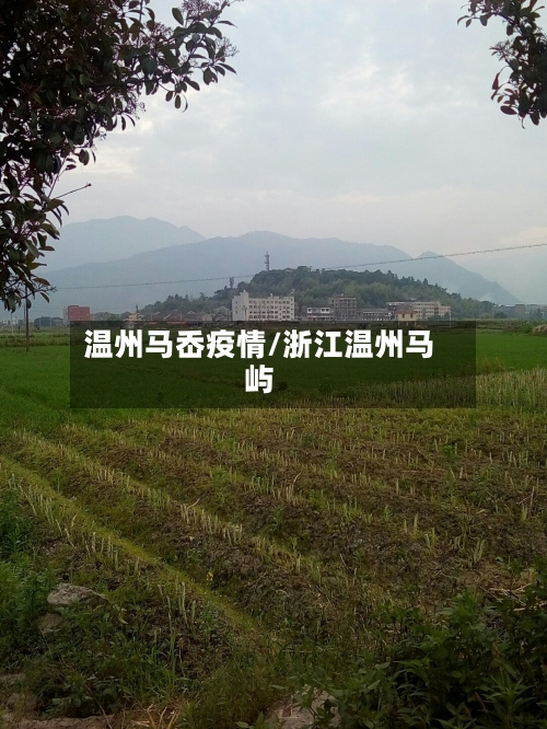 温州马岙疫情/浙江温州马屿-第2张图片