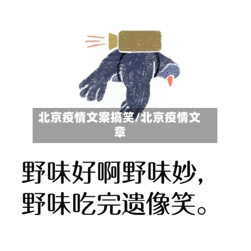 北京疫情文案搞笑/北京疫情文章