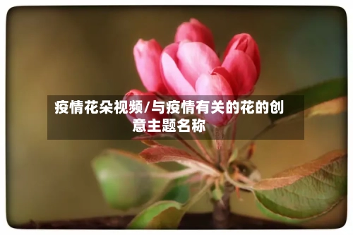 疫情花朵视频/与疫情有关的花的创意主题名称-第3张图片