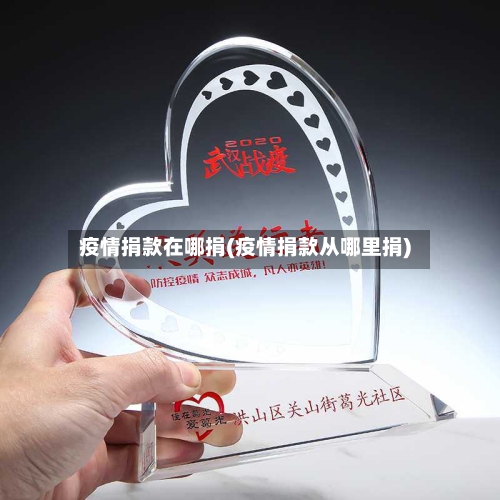 疫情捐款在哪捐(疫情捐款从哪里捐)-第2张图片