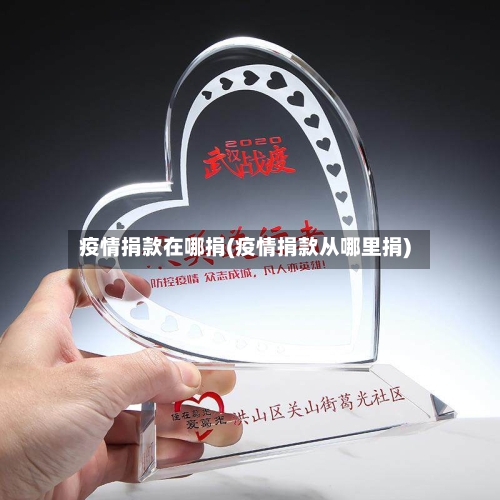 疫情捐款在哪捐(疫情捐款从哪里捐)