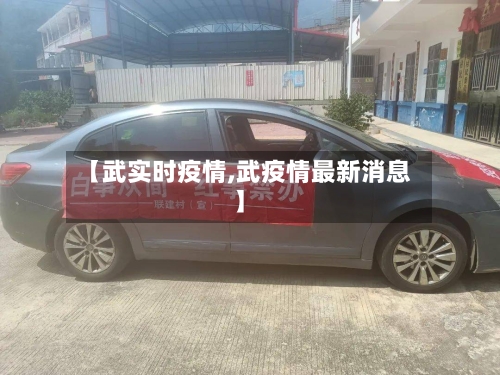 【武实时疫情,武疫情最新消息】-第2张图片