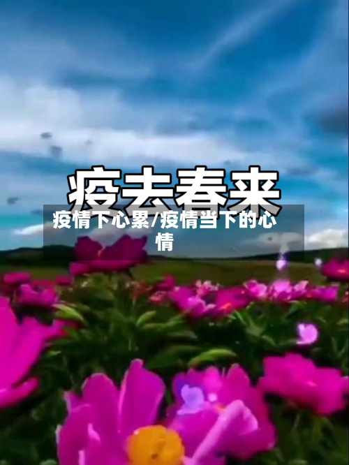 疫情下心累/疫情当下的心情