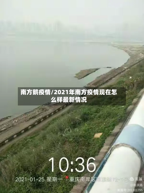 南方鹅疫情/2021年南方疫情现在怎么样最新情况-第2张图片