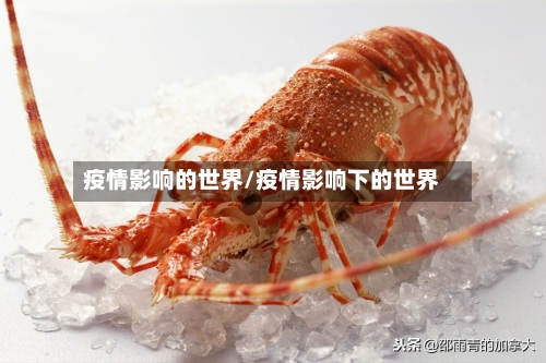疫情影响的世界/疫情影响下的世界-第2张图片