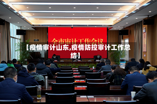 【疫情审计山东,疫情防控审计工作总结】