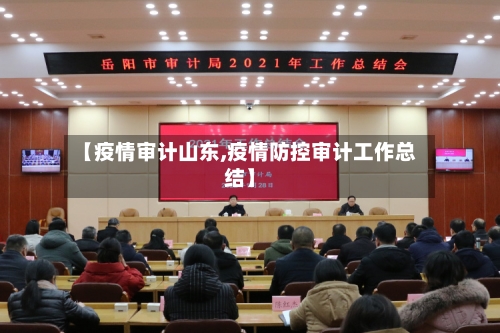 【疫情审计山东,疫情防控审计工作总结】-第3张图片