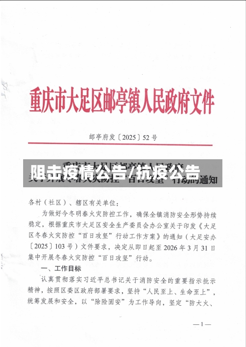 阻击疫情公告/抗疫公告-第3张图片