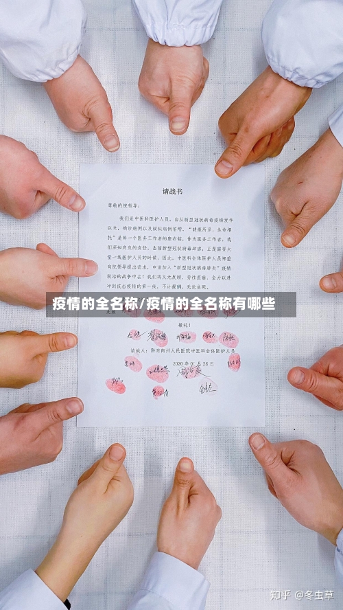 疫情的全名称/疫情的全名称有哪些-第2张图片