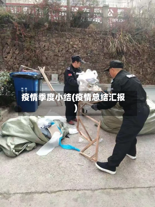 疫情季度小结(疫情总结汇报)-第2张图片