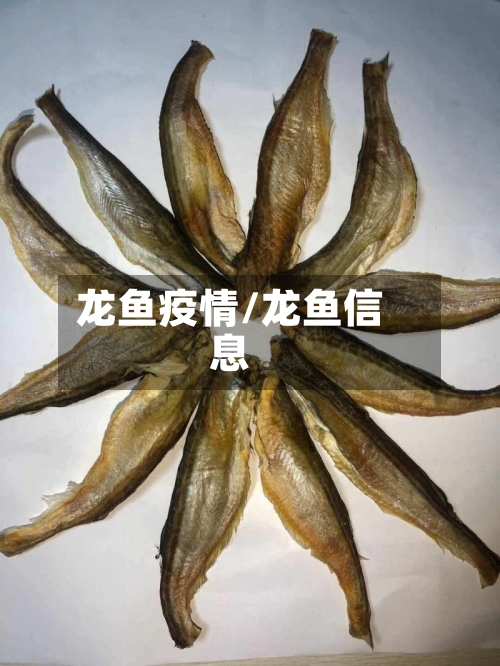龙鱼疫情/龙鱼信息