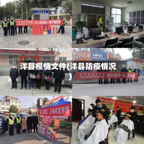 洋县疫情文件(洋县防疫情况)