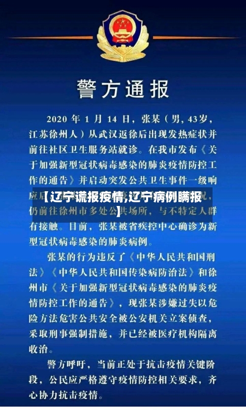 【辽宁谎报疫情,辽宁病例瞒报】-第2张图片